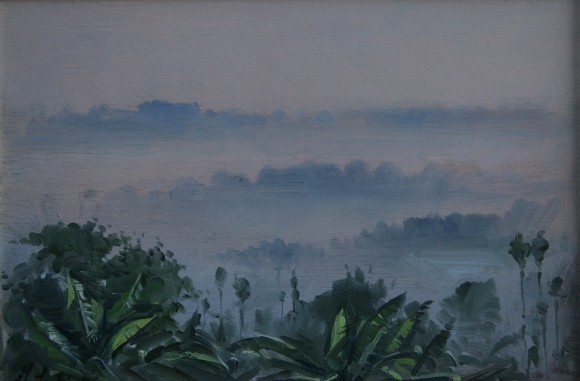 Early morning, Palace Estates 