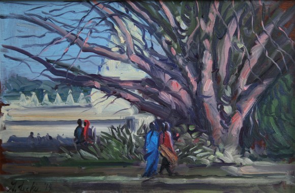 Walking in the Mysore Palace Gardens