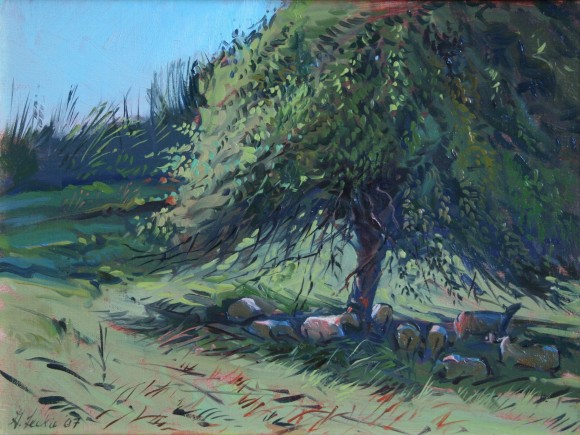 Apple Tree, Lower Lawn Farm