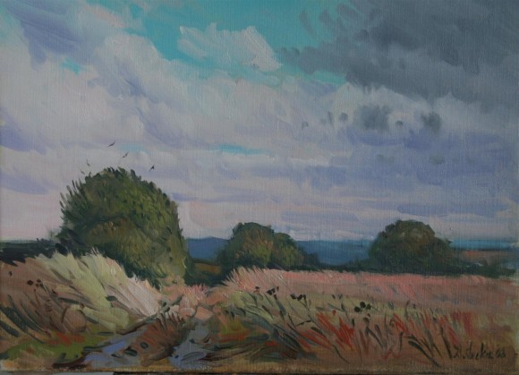 Chilmark Fields, Wiltshire