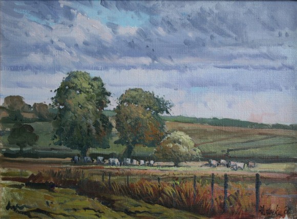 Dorset fields