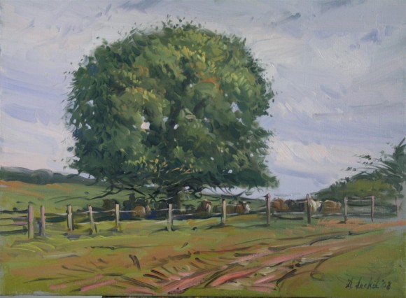 Dorset Polls, Lower Lawn Farm