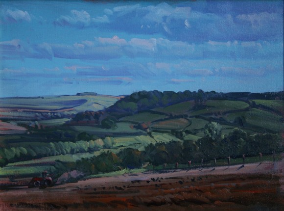 Fields between East Knoyle and Tisbury