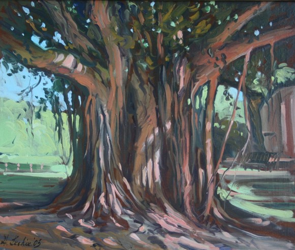 Banyan Tree, Jodhpur