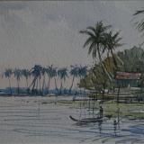 Backwaters, Allepy, Kerala, India