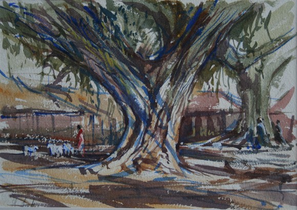 Market Tree with Goats, India