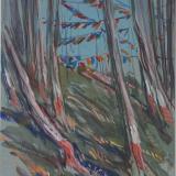Prayer Flags, Darjeeling